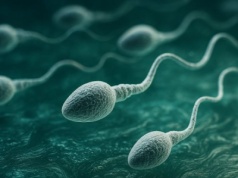 Żywe komórki pokazują, że prawa Newtona mają swoje wyjątki