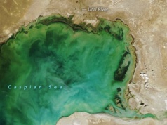 Znika fundamentalny składnik mórz. Oceany są mniej zielone