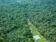 Brazylia ogranicza wycinkę Amazonii. To najlepszy wynik od dekady