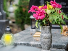 Nakarm tym kwiaty w Zaduszki. Będą świeże przez kolejne tygodnie