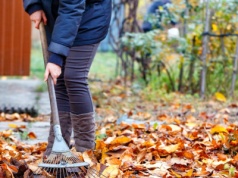 Przeczytaj, zanim zaczniesz porządki na działce. Mandaty są ogromne