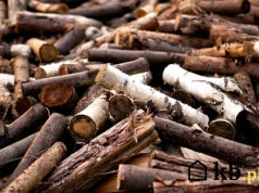 Zapomnij o dębie i buku – to drewno króluje w polskich kominkach