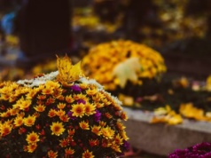 Czego nie robić w Zaduszki? Poznaj przesądy naszych przodków