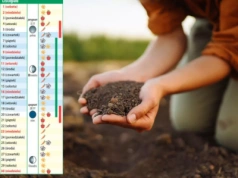 Kalendarz biodynamiczny na listopad 2025: co siać, zbierać i co zabezpieczyć przed zimą?