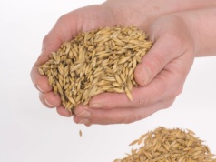 Wroński: Eksport zbóż stoi. Polska traci rynki, dyplomacja gospodarcza śpi