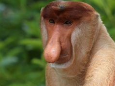 Za darmo to uczciwa cena. Oferta na darmowe gry PC w listopadzie