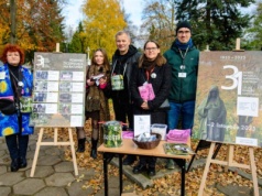 31. Kwesta na Starym Cmentarzu. Wspólne działanie dla ratowania zabytków