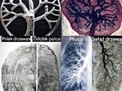 PROSZĘ O PILNE WSPARCIE NIEZALEŻNYCH MEDIÓW