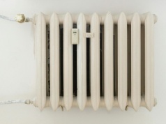 Pasożytnictwo cieple będzie trwać nadal i nowe przepisy tego nie zmienią