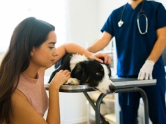 W tym miejscu nie można pochować psa lub kota. Za błąd zapłacisz 5 tys. zł