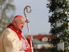 Kard. Dziwisz w „amerykańskiej Częstochowie”: każdy z nas powołany jest do świętości