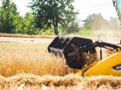 ARiMR wypłaciła już blisko 7 mld zł zaliczek. Pomoc dla rolników z Żuław w toku