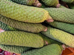 W Polsce niemal nieznany. W Meksyku uznawany za rarytas. Tak smakuje owoc monstery