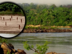 Plemiona izolowane mogą wkrótce wyginąć. Komu przeszkadzają?