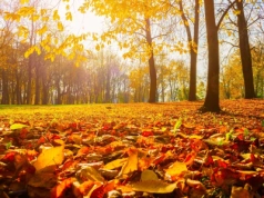 Polska w objęciach potężnego antycyklonu. Pogoda zaskoczy wszystkich