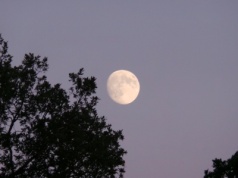 Listopadowa pełnia Księżyca i inne zjawiska. Kiedy warto spojrzeć w niebo?