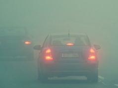 50=50. Prosta zasada z Niemiec, która ratuje życie. Polacy jej nie znają