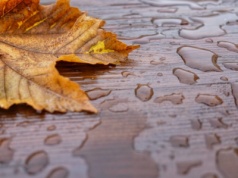 Pogoda na poniedziałek. Deszczowy początek tygodnia