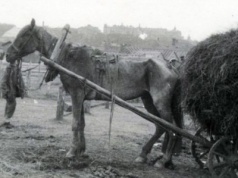 Pulitzer za milczenie. Jak Walter Duranty zakłamał Wielki Głód na Ukrainie