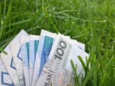 7 mld złotych już na kontach rolników - ARiMR informuje o wypłatach zaliczek na koniec października