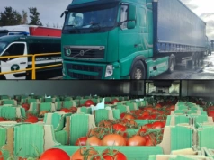 Nielegalne kabotaże w Polsce: Ukraina oraz Turcja, kary od 12 do 24 tys. zł