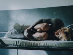 Quebonafide: Północ/Południe zaraz wyląduje na Canal+. Jest data