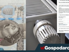 Do wzięcia nawet 3500 zł wsparcia. Jak złożyć wniosek?