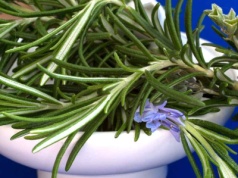 Spal 2 gałązki rozmarynu i poczekaj chwilę. Ten trik odmieni twoje życie