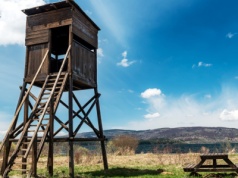 Aktywiści składają skargę na polskich myśliwych do KE. "Mamy dość"