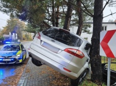 Pijany Ukrainiec zatrzymał się na drzewie. Tłumaczył, że "rano wypił jedno piwo"