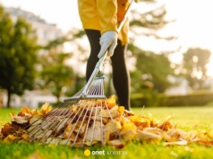 O trawnik warto zadbać też jesienią. Nie zapomnij w listopadzie o tych pracach