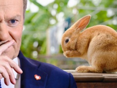 Kajdanki „Made in Freedom”! Tusk goni króliczka