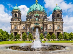 Berlin planuje milion drzew do 2040 roku - projekt wzbudza kontrowersje