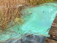 Nowe fakty ws. substancji na Jeziorze Wieldządzkim. To zanieczyszczenie chemiczne, trwają prace służb