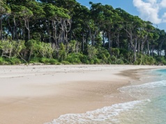 Najpiękniejsze plaże w Indiach – które warto odwiedzić?