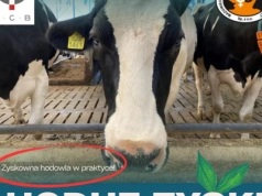 Cykl konferencji „HODUJ ZYSK!" startuje już jutro!