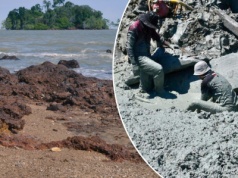 Odkryli niezwykły wrak. Sekret skrywały piaski niewielkiej wysepki