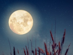 Czy dziś jest pełnia Księżyca? Nocne niebo zachwyci w listopadzie