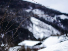 Zima 2026 może zaskoczyć. Kiedy spadnie śnieg? Synoptyk o „winowajcy”