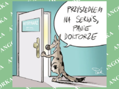 Profil geriatryczny – badanie, które może uratować życie Twojego psa