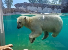 Hotele jak z bajki! Te miejsca warto odwiedzić chociaż raz w życiu
