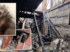 Dramatyczny apel po pożarze domu. "Znalezione byłyby chociaż kości..."