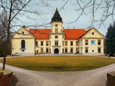 Kalendarium historyczne: 5 listopada 1734 – zawiązanie Konfederacji Dzikowskiej