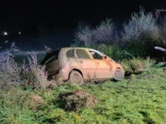 Ktoś zauważył samochód w stawie. Nietypowa akcja strażaków