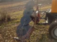 Formowanie porzeczek – kiedy i po co podcinać porzeczki?