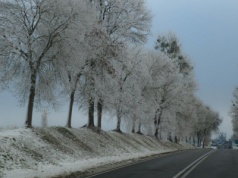 Zima w Polsce ma przyjść szybciej niż zwykle. Padła data, od kiedy spodziewać się śniegu