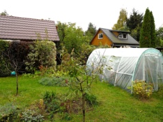 Przebadali warzywa i owoce z działek ROD. Wykryto ołów, pestycydy, a nawet antybiotyki