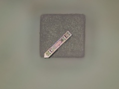 MOTE – implant mózgowy mniejszy niż kryształek soli