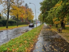 Wybrano wykonawcę remontu alei Ofiar Ludobójstwa OUN UPA w Legnicy