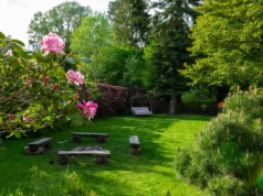 Wzmożone kontrole na prywatnych działkach. Grzywny nawet do 10 tys.